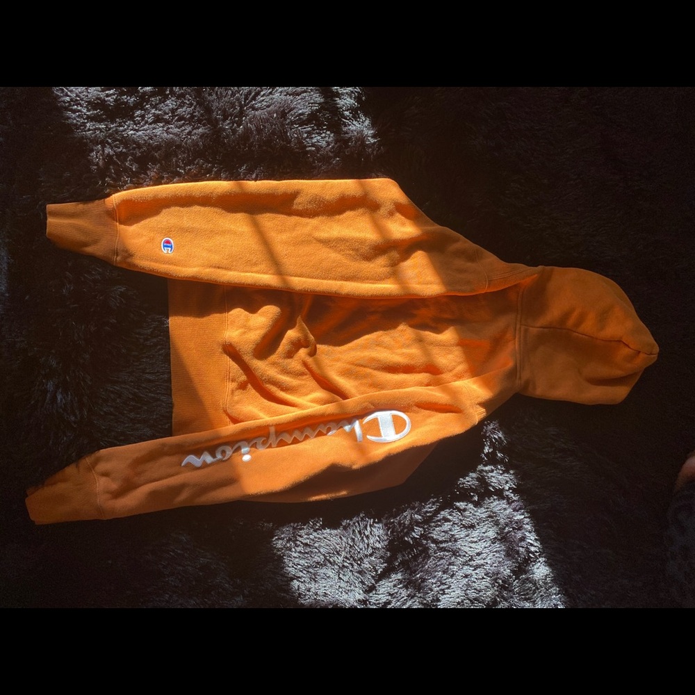 Champion hoodie